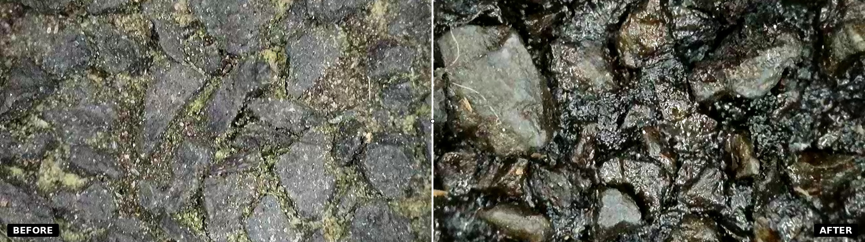 Magnified microscope comparison of untreated versus Gonano-treated shingle granules