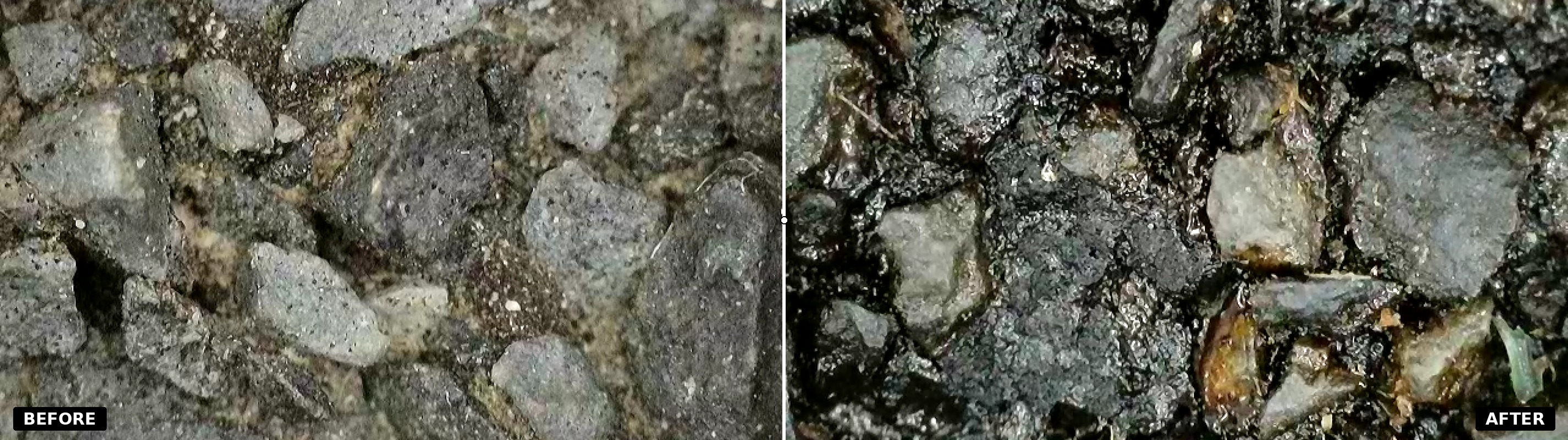 Magnified microscope comparison of untreated versus Gonano-treated shingle granules