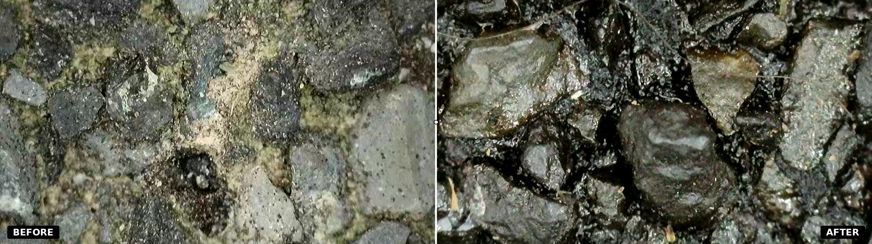 Magnified microscope comparison of untreated versus Gonano-treated shingle granules